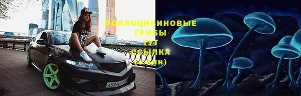 гидропоника Бородино