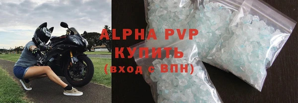 спайс Богданович