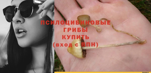 гидропоника Бородино