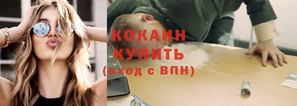 ешки Бронницы