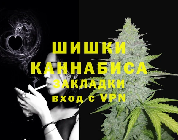 ешки Бронницы