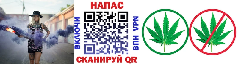 цены наркотик  Нестеров  Шишки марихуана Ganja 